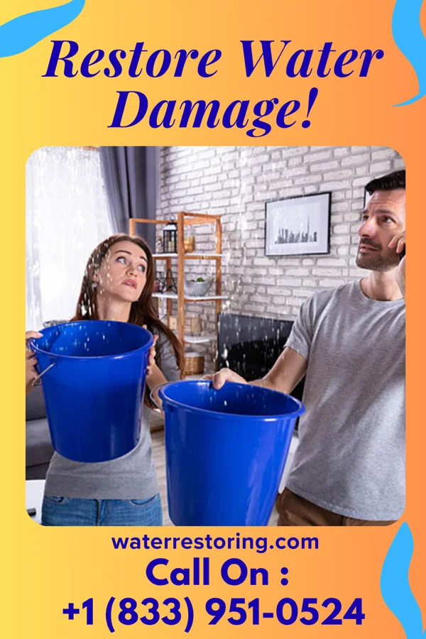 water restoration Ace Flood Recovery Force Unionville
