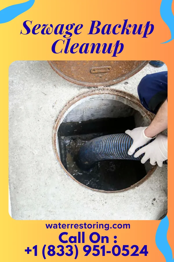 Sewage Backup Cleanup in Unionville, MT